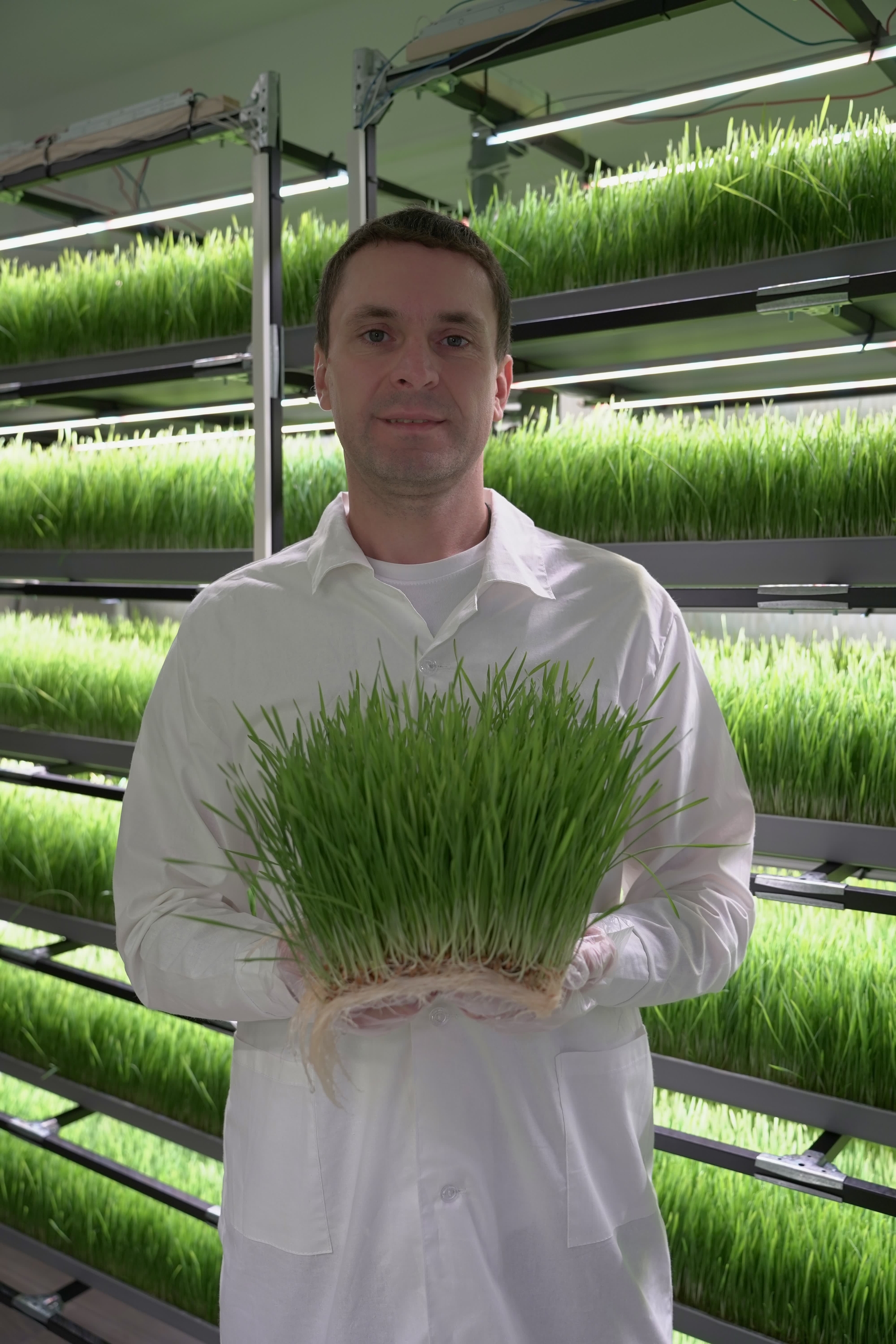 Витграсс сегодня: Сергеев Сергей